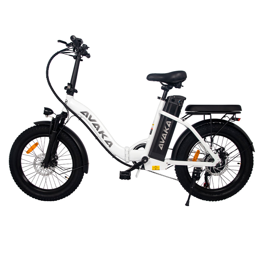 AVAKA BZ20 Foldable Electric Bicycle Electric Folding Bike – GOGOBEST BIKES