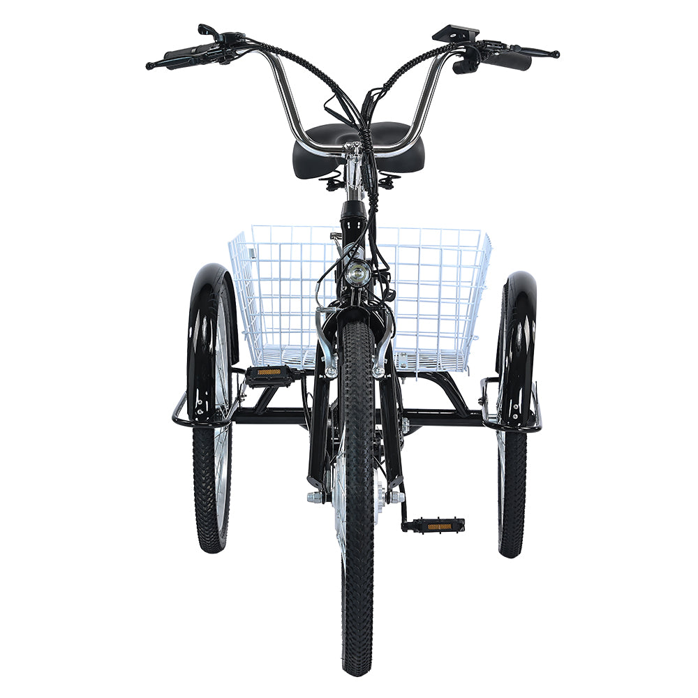 GOGOBEST GF100 350W Bicicletta Elettrica Cargo Triciclo Città