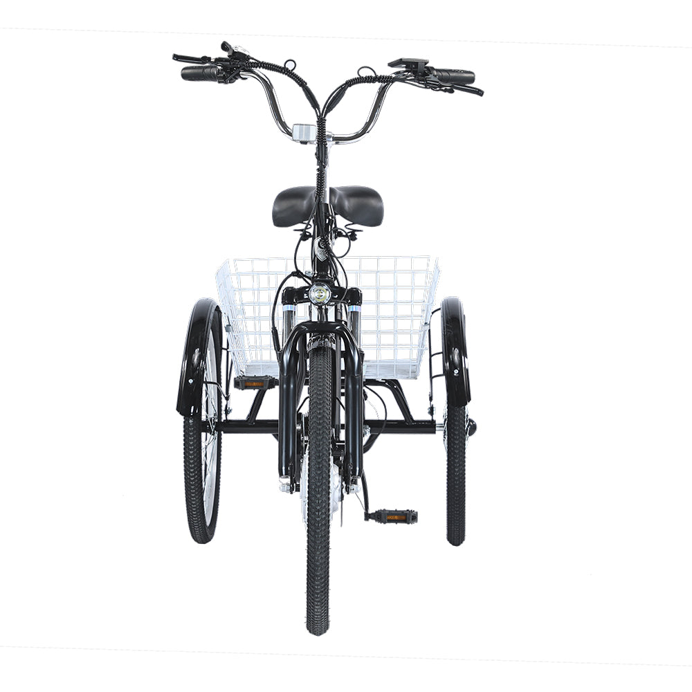 GOGOBEST GF100 350W 20Ah Electric City Tricycle Cargo Ebike