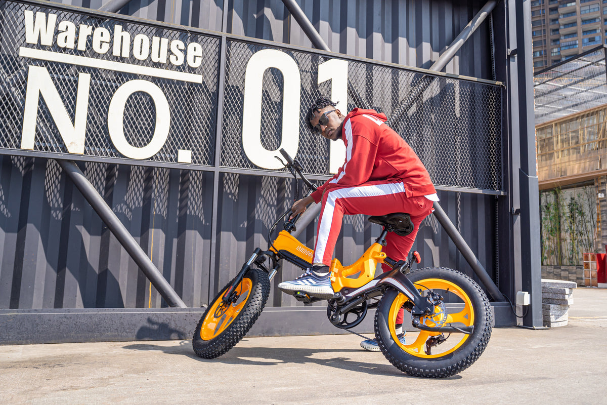 MIHOGO NX 750W Magnesium Alloy Electric Mountain Bike