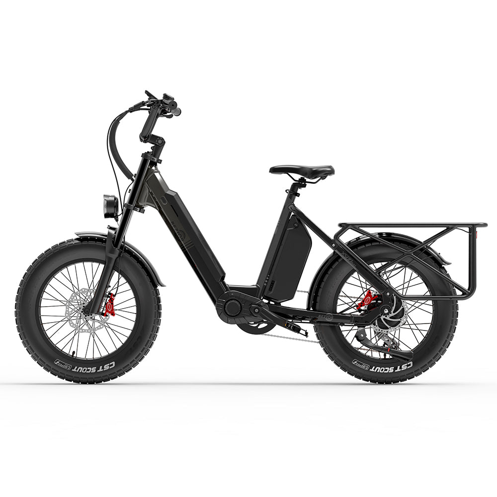 Bicicleta de montanha elétrica BEZIOR X500MAX