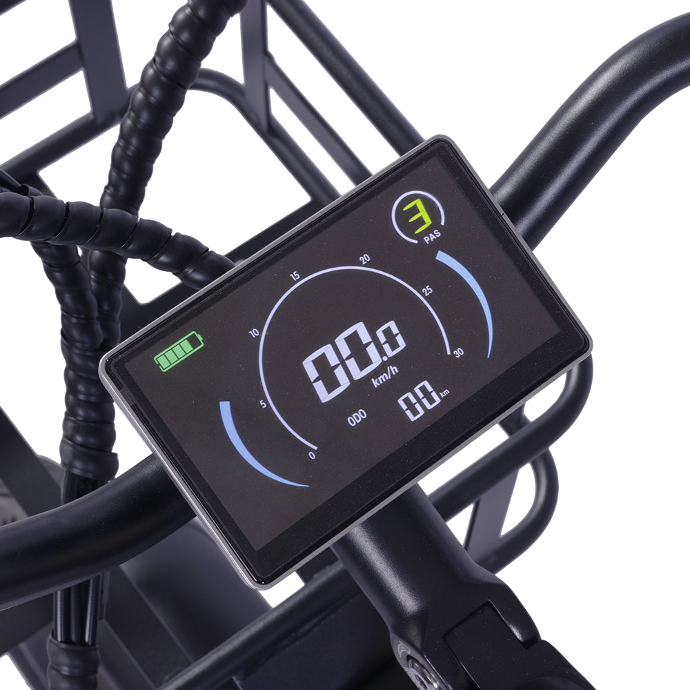 GOGOBEST GF200 500W Electric City Cargo Ebike