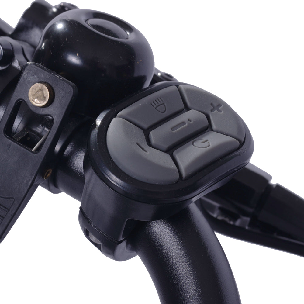 GOGOBEST GF200 500W Electric City Cargo Ebike