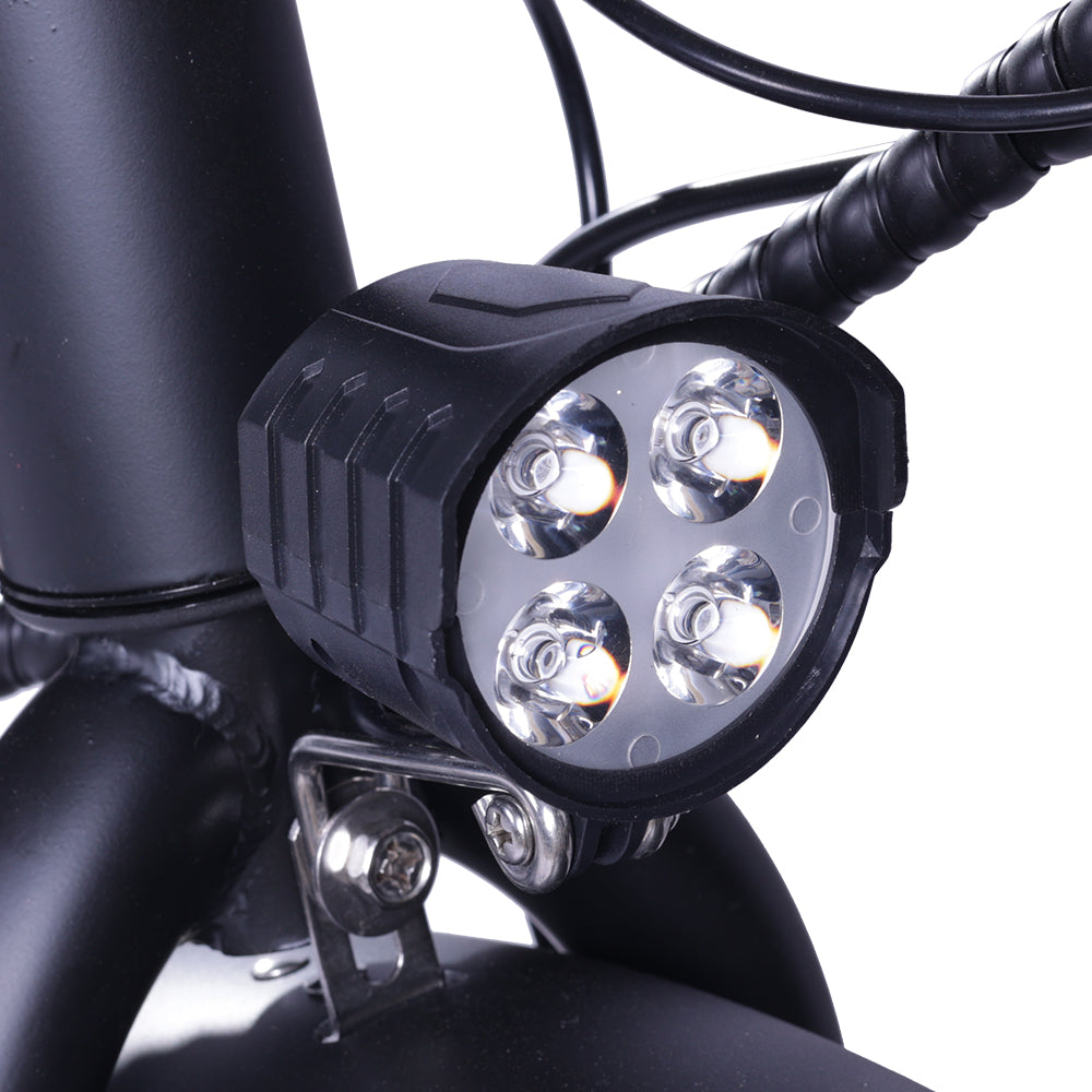 GOGOBEST GF200 500W Electric City Cargo Ebike