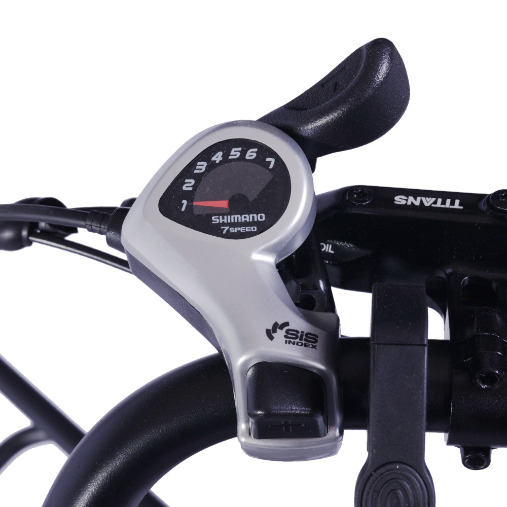 GOGOBEST GF200 500W Electric City Cargo Ebike