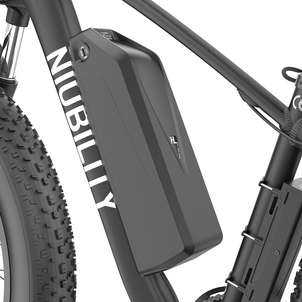 Niubility B26 1000W Electric Mountain Bike