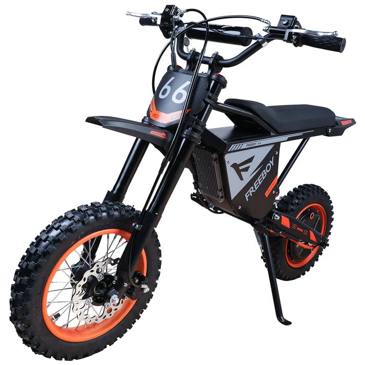 Freeboy Y66 3000W Electric Motorcycle Truck Commuting Bike
