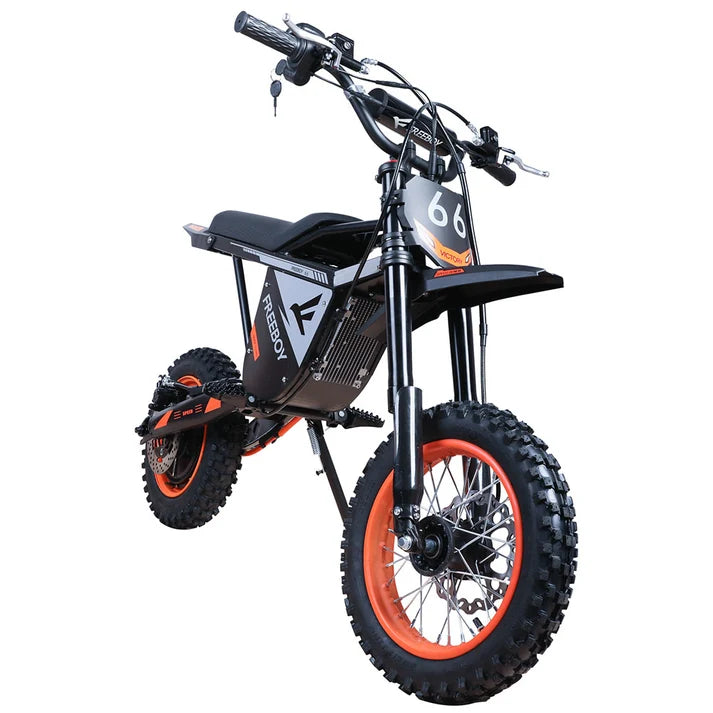 Freeboy Y66 3000W Electric Motorcycle Truck Commuting Bike