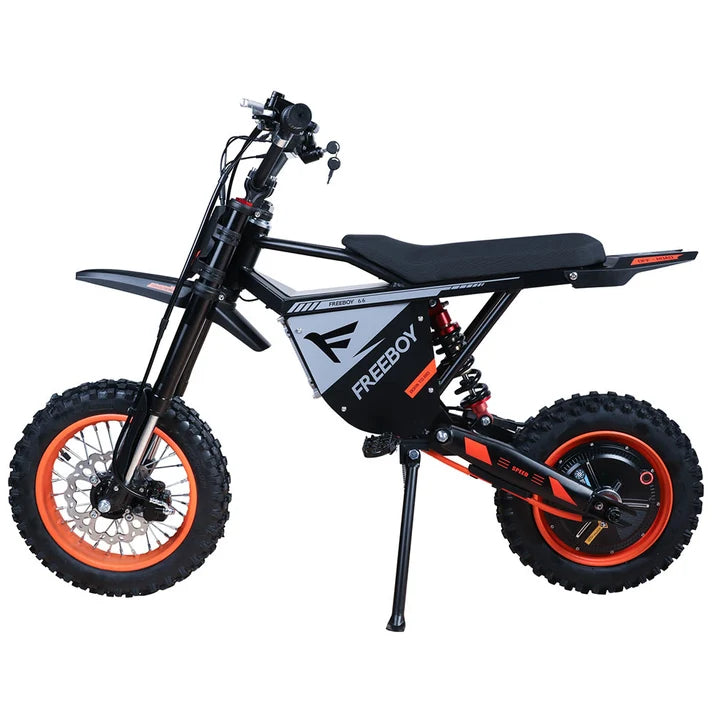 Freeboy Y66 3000W Electric Motorcycle Truck Commuting Bike