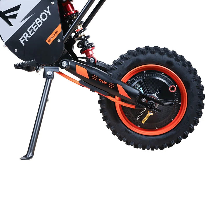 Freeboy Y66 3000W Electric Motorcycle Truck Commuting Bike