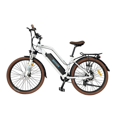 E-BIKE – GOGOBEST BIKES